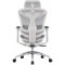 Крісло офісне SIHOO Doro C300L Mesh White