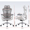 Крісло офісне SIHOO Doro C300L Mesh White