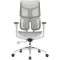 Кресло офисное SIHOO Doro S100 Mesh White