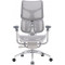 Крісло офісне SIHOO Doro S300 Mesh Light Gray