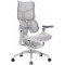 Крісло офісне SIHOO Doro S300 Mesh Light Gray