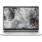 Ноутбук DELL Pro 16 Plus Platinum Silver (BTO103_PB16250_UA)
