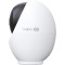IP-камера TP-LINK TAPO C260