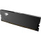 Модуль памяти PATRIOT Signature Line Premium DDR5 5600MHz 16GB Black (PSP516G560081H1)