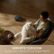 Робот-пилосос DREAME F10 White (RLF11SA)