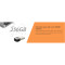 Флэшка 256GB TRANSCEND JetFlash 890 USB 3.1 Type-C/USB-A (TS256GJF890S)