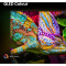 Телевизор HISENSE 43" QLED 4K 43E7Q PRO (20016932)