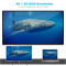 Кабель CHOETECH 4K 30Hz USB-C to DVI 1.8м Black (XCD-0018-BK)