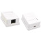 Розетка настінна KINGDA RJ-45 Cat.6 UTP White (KD-WP6034-C6)