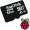 Карта памяти SANDISK для Raspberry Pi 32GB microSDHC, NOOBS pre-loaded