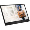 Портативный монитор 15.6" MSI Pro MP161 E2U Iron Gray