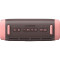 Портативна колонка ANKER SoundCore Boom 3i Desert Rose Brown (D5100080)