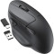 Мышь KEYCHRON M7 Black