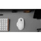 Миша KEYCHRON M7 White