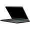 Ноутбук THUNDEROBOT 911 X17 Black (911X17-I7136H56C1Q165MB)