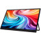 Портативний монітор 15.6" ACER PM161Wbmiuux (UM.ZP1EE.012)