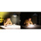 Лампа акумуляторна LED OSRAM LED Classic Rechargeable A60 E27 8W 4000K 220V (4099854190131)