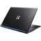 Ноутбук DREAM MACHINES RT5050-17 Black (RT5050-17UA25)