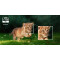 Проектор AOPEN Fire Legend QH31s Blue (MR.JYQ11.003)