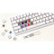 Клавиатура беспроводная MOTOSPEED SK66 Gateron Blue Switch White (MTSK66WMB)
