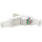 Коннектор безинструментальный VOLTRONIC RJ-45 UTP Cat.6 белый