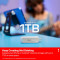 Флэшка 256GB SANDISK Phone Drive USB 3.2 Type-C Arctic White (SDIXS0N-256G-GN6NE)