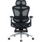 Кресло офисное SIHOO Doro C300 Pro with footrest Mesh Black