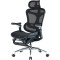Кресло офисное SIHOO Doro C300 Pro with footrest Mesh Black