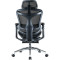 Кресло офисное SIHOO Doro C300 Pro with footrest Mesh Black
