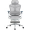 Крісло офісне SIHOO Doro C300 Pro with footrest Mesh White