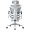 Крісло офісне SIHOO Doro C300 Pro with footrest Mesh White