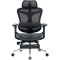 Кресло офисное SIHOO Doro C300L with footrest Mesh Black