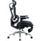 Кресло офисное SIHOO Doro C300L with footrest Mesh Black