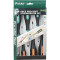 Набір викруток PRO'SKIT SD-2301 6шт