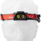 Фонарь налобный FENIX HP12R-T Red