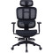 Крісло офісне OFFICEPRO Skyline OC750-B-B-B Black