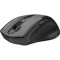 Миша A4TECH Fstyler FG55S Plus Gray