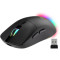 Мышь MEDIA-TECH MT1124 Black