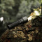 Фонарь NEXTOOL Flashlight T10 Black (NE20343)