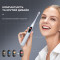 Электрическая зубная щётка OCLEAN X Plus Pro Didgital Silver