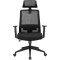 Кресло офисное OFFICEPRO OC420B Black