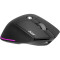 Миша ACER Easy Fit Black (HP.EXPBG.021)