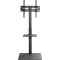 Презентационная стойка с креплением под ТВ GEMBIRD TVS-55T-02 32"-55" Black