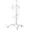 Презентационная стойка с креплением под ТВ GEMBIRD TVS-70T-02-W 37"-70" White