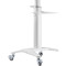 Презентационная стойка с креплением под ТВ GEMBIRD TVS-70T-02-W 37"-70" White