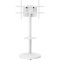 Презентационная стойка с креплением под ТВ GEMBIRD TVS-86TR-01-W 37"-86" White