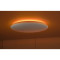 Смарт-світильник YEELIGHT Arwen Ceiling Light D500 50W 2700-6500K (YLXDD-0149)
