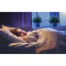Смарт-світильник YEELIGHT Comet Ceiling Light 300C 21W 2700-6500K (YLXDD-0033)