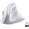 Вертикальна миша UGREEN MU008 Vertical Ergonomic White (45759)