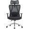 Кресло офисное OFFICEPRO Aero OC490 Black